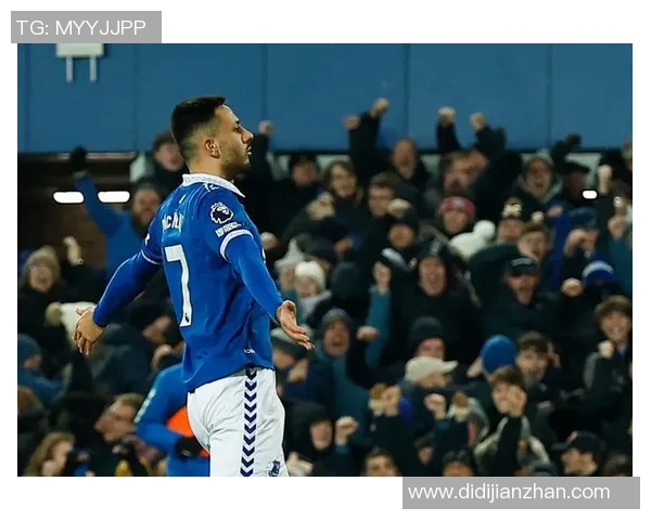 埃佛顿主场迎战纽卡斯力争三分冲击英超排名提升