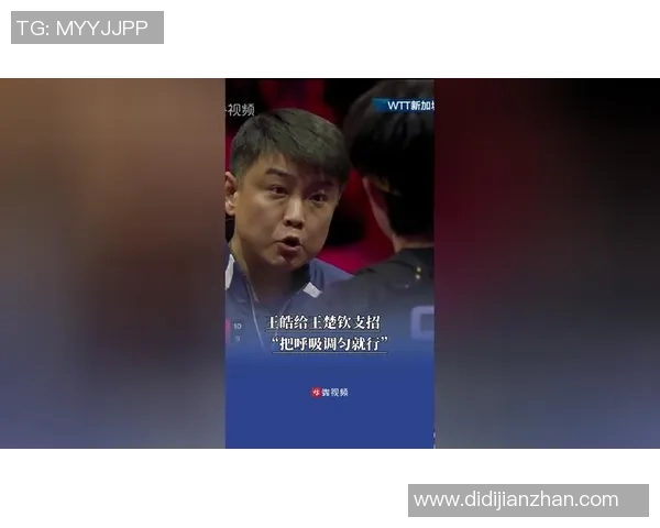 王皓与刘国正的巅峰对决乒乓球传奇的较量与启示 王皓与刘国正的巅峰对决乒乓球传奇的较量与启示