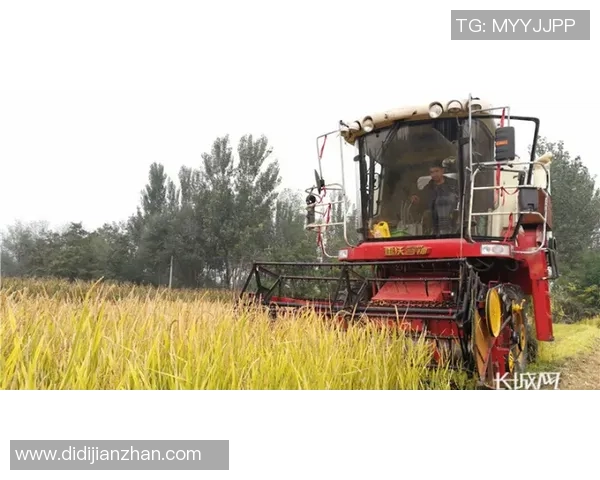 袁堂文：在历史长河中闪耀的文化传承与创新之星