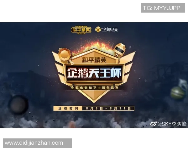 和平精英热议：WE战队耐力争议引发玩家热烈讨论与反思